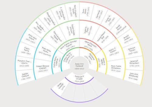 Family tree chart connecting generations on BioTribute